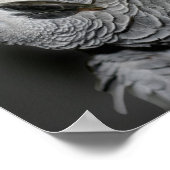 Poster Sois toi-même Citer de mignon perroquet Inspiratio (Coin)