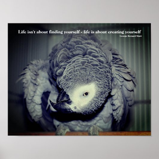 Poster Sois toi-même mignon Parrot Citation Inspirationne (Devant)
