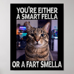 Poster Soit un type intelligent ou un type idiot Chat drô