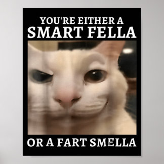 Poster Soit un type intelligent, soit un type qui pue les