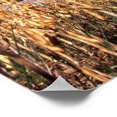 Poster soja (Coin)