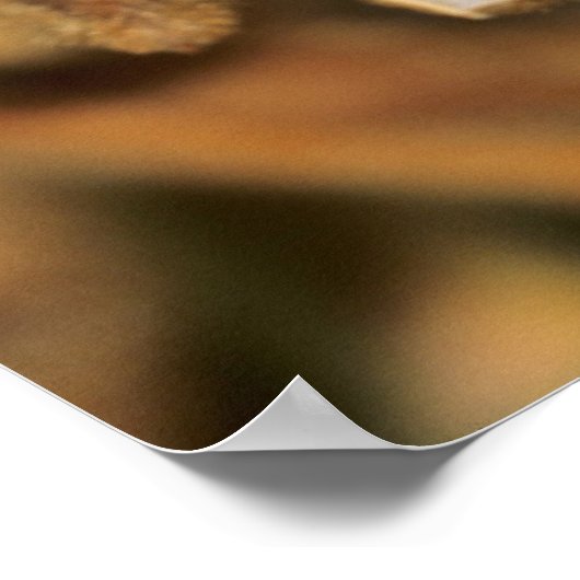 Poster soja mûr (Coin)