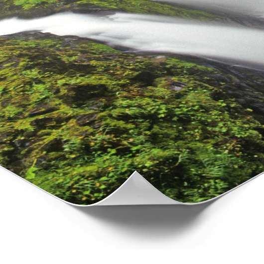 Poster Sol Duc Chutes dans le Parc National Olympique 2 (Coin)