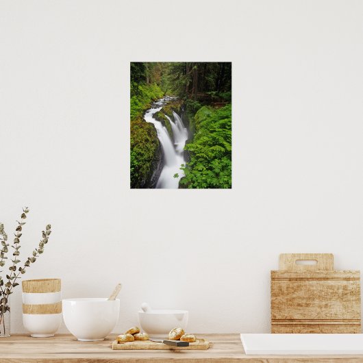 Poster Sol Duc Chutes dans le Parc National Olympique 2 (Cuisine)