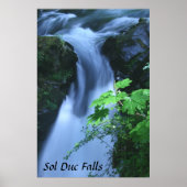 Poster : Sol Duc Falls (Devant)
