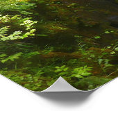 Poster Sol Duc Falls I at Olympic National Park (Coin)