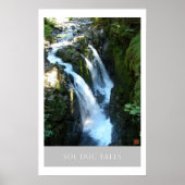 Poster Sol Duc Falls-Print (Devant)