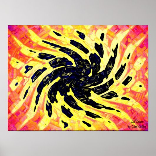 Poster Sol Spider (Devant)