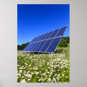Poster Solar Panels Green Meadow Sustainable Energy