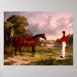 Poster Soldat avec un cheval d'officier