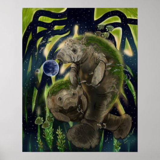 Poster Solde fragile Manatee (Devant)