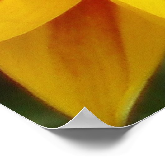 Poster Soleil (Coin)