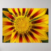 Poster Soleil (Devant)