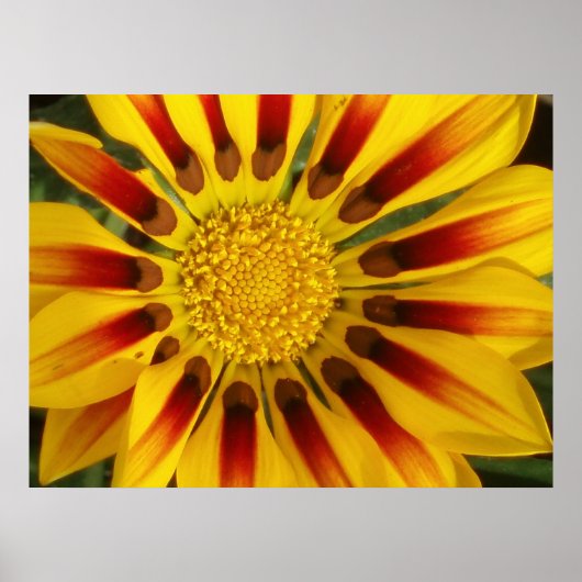 Poster Soleil (Devant)