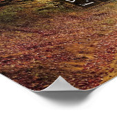 Poster Soleil (Coin)