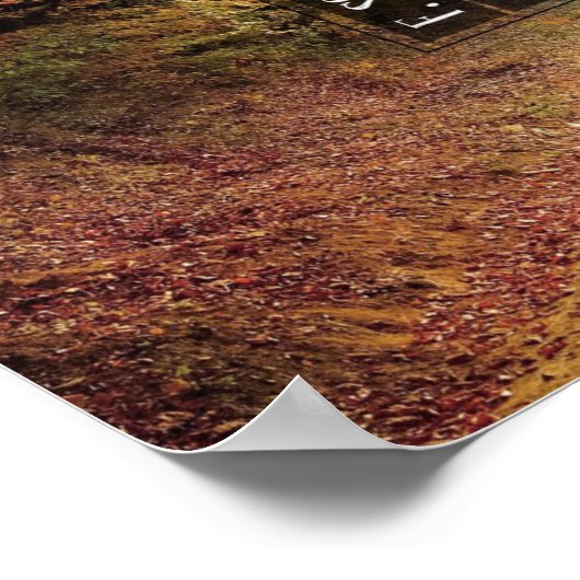 Poster Soleil (Coin)