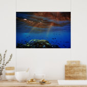 Poster soleil (Cuisine)