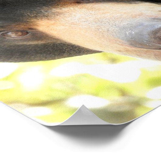 Poster Soleil (Coin)