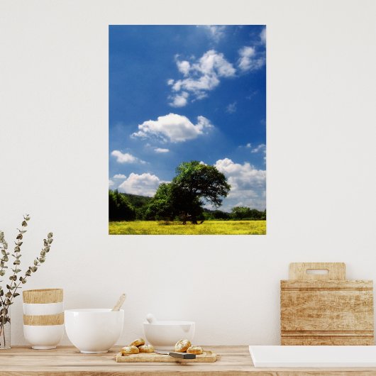 Poster Soleil (Cuisine)