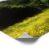 Poster Soleil (Coin)