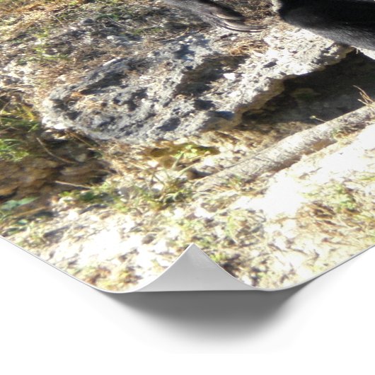 Poster Soleil (Coin)