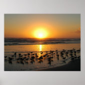 Poster Soleil (Devant)