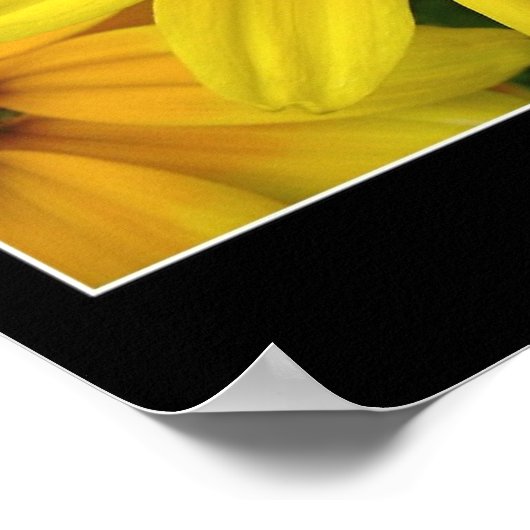 Poster Soleil (Coin)