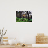 Poster Soleil à travers la forêt (Cuisine)
