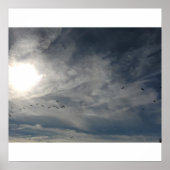 Poster soleil blanchi (Devant)