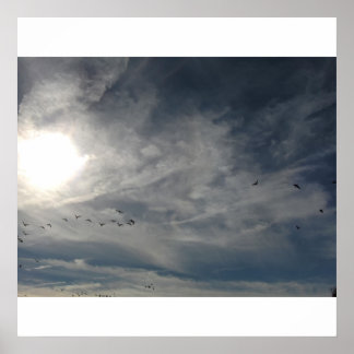 Poster soleil blanchi