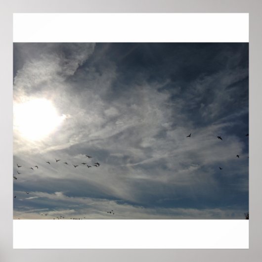 Poster soleil blanchi (Devant)