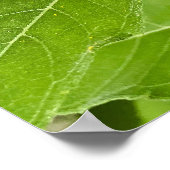 Poster Soleil brillant (Coin)