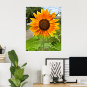 Poster Soleil brillant (Bureau à domicile)