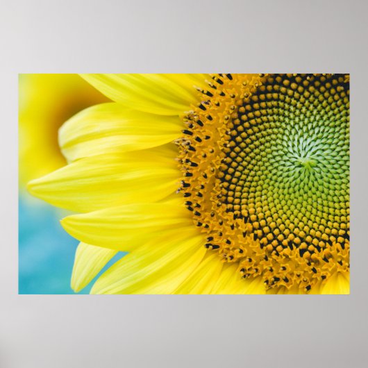 Poster Soleil brillant (Devant)