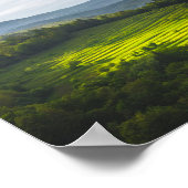 Poster Soleil brillant sur le terrain des terrasses (Coin)