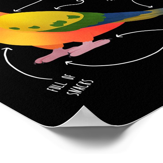 Poster Soleil Conure Anatomie Funny Mignonne Animal Parro (Coin)