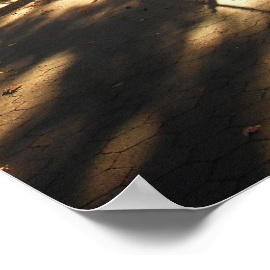 Poster Soleil d'automne en Central Park, NYC, Moyen (Coin)