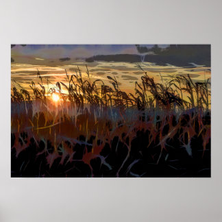 Poster Soleil de Cornfield