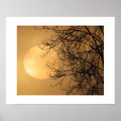 Poster Soleil de début de matinée  (Devant)