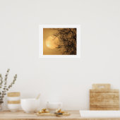 Poster Soleil de début de matinée  (Cuisine)
