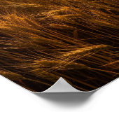 Poster Soleil de midi intense (Coin)