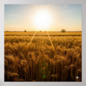 Poster Soleil de midi intense (Devant)