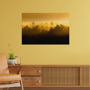 Poster Soleil derrière les arbres brumeux