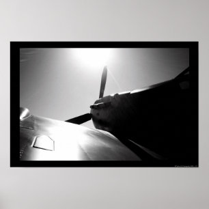 Poster Soleil des feux d'araignée