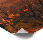 Poster Soleil des Tatras d'automne (Coin)