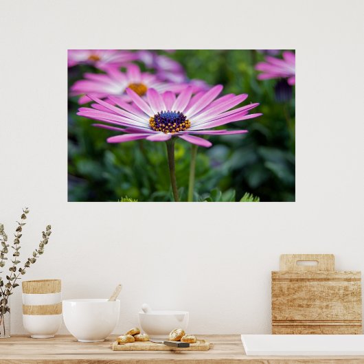 Poster Soleil d'été (Cuisine)