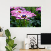 Poster Soleil d'été (Bureau à domicile)