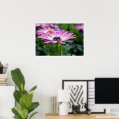 Poster Soleil d'été (Bureau à domicile)