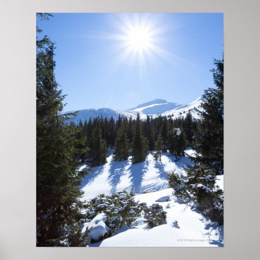 Poster Soleil d'hiver 5 (Devant)