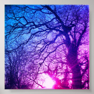 Poster Soleil d'hiver et arbres pourpres